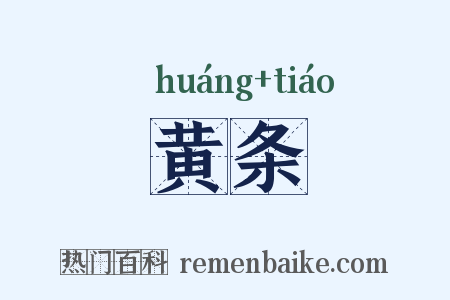 黄条是什么意思的图片
